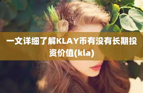 一文详细了解KLAY币有没有长期投资价值(kla)