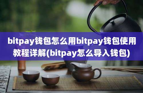 bitpay钱包怎么用bitpay钱包使用教程详解(bitpay怎么导入钱包)