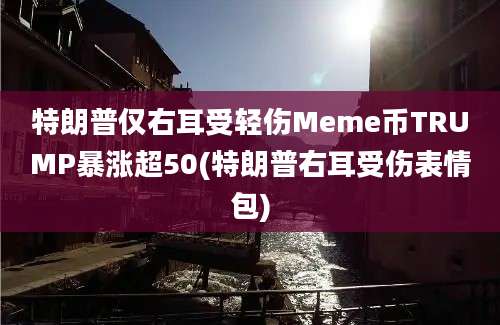 特朗普仅右耳受轻伤Meme币TRUMP暴涨超50(特朗普右耳受伤表情包)