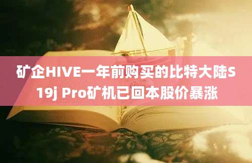 矿企HIVE一年前购买的比特大陆S19j Pro矿机已回本股价暴涨