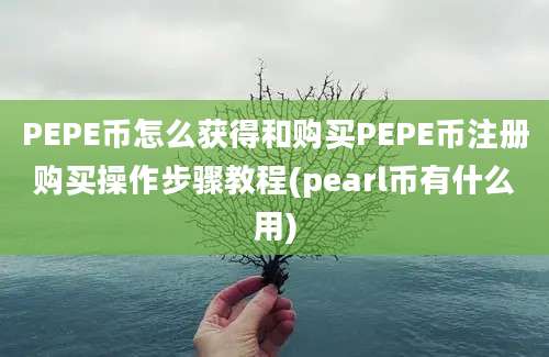 PEPE币怎么获得和购买PEPE币注册购买操作步骤教程(pearl币有什么用)