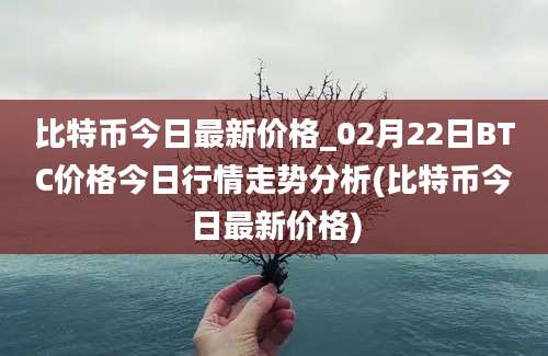 比特币今日最新价格_02月22日BTC价格今日行情走势分析(比特币今日最新价格)