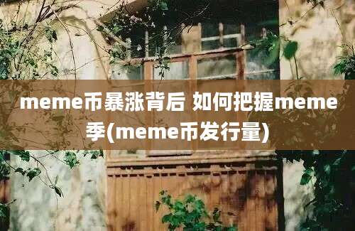 meme币暴涨背后 如何把握meme季(meme币发行量)