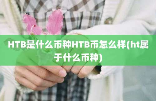 HTB是什么币种HTB币怎么样(ht属于什么币种)