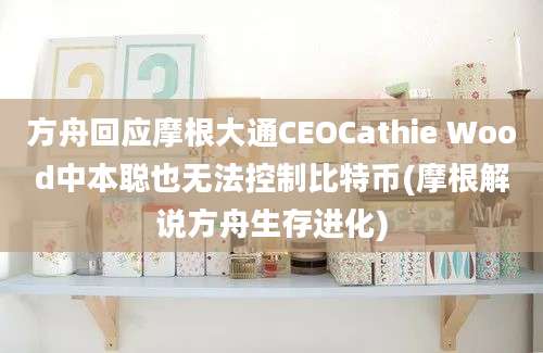 方舟回应摩根大通CEOCathie Wood中本聪也无法控制比特币(摩根解说方舟生存进化)