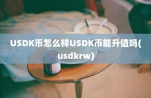 USDK币怎么样USDK币能升值吗(usdkrw)