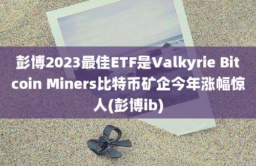 彭博2023最佳ETF是Valkyrie Bitcoin Miners比特币矿企今年涨幅惊人(彭博ib)