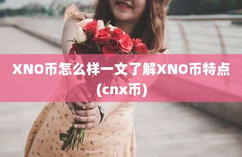 XNO币怎么样一文了解XNO币特点(cnx币)