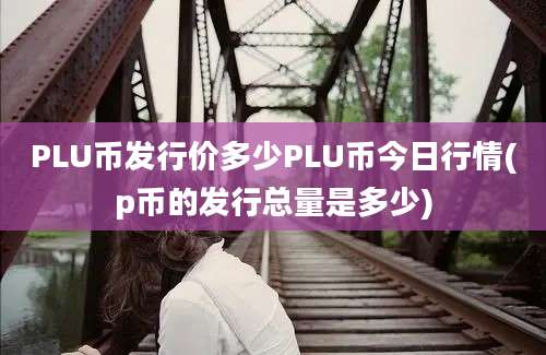 PLU币发行价多少PLU币今日行情(p币的发行总量是多少)