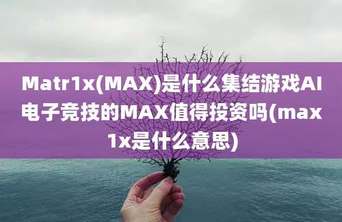 Matr1x(MAX)是什么集结游戏AI电子竞技的MAX值得投资吗(max1x是什么意思)