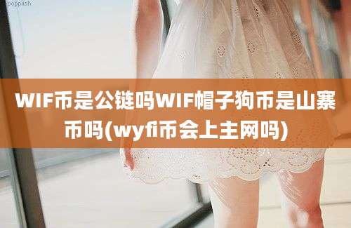 WIF币是公链吗WIF帽子狗币是山寨币吗(wyfi币会上主网吗)