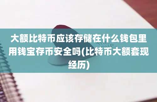 大额比特币应该存储在什么钱包里用钱宝存币安全吗(比特币大额套现经历)