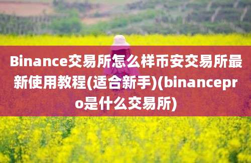 Binance交易所怎么样币安交易所最新使用教程(适合新手)(binancepro是什么交易所)