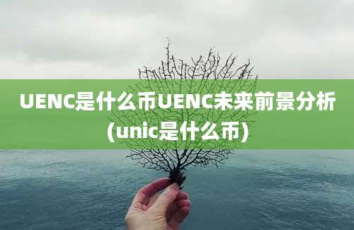 UENC是什么币UENC未来前景分析(unic是什么币)