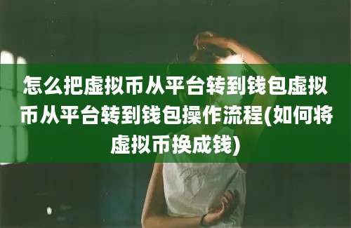 怎么把虚拟币从平台转到钱包虚拟币从平台转到钱包操作流程(如何将虚拟币换成钱)