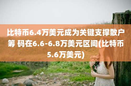 比特币6.4万美元成为关键支撑散户筹 码在6.6-6.8万美元区间(比特币5.6万美元)