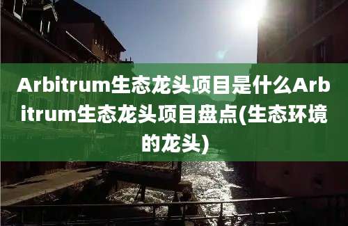 Arbitrum生态龙头项目是什么Arbitrum生态龙头项目盘点(生态环境的龙头)