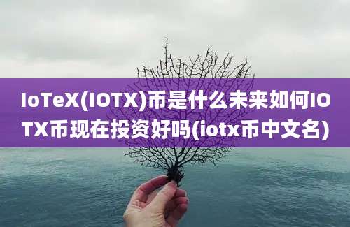 IoTeX(IOTX)币是什么未来如何IOTX币现在投资好吗(iotx币中文名)