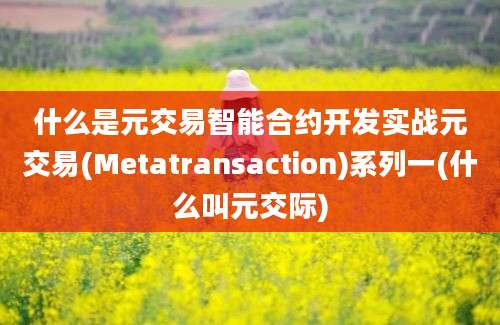 什么是元交易智能合约开发实战元交易(Metatransaction)系列一(什么叫元交际)