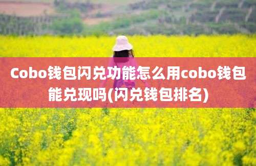 Cobo钱包闪兑功能怎么用cobo钱包能兑现吗(闪兑钱包排名)