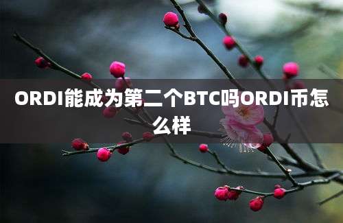 ORDI能成为第二个BTC吗ORDI币怎么样