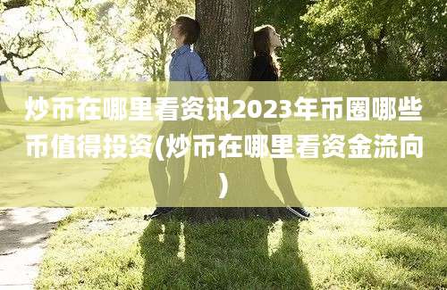 炒币在哪里看资讯2023年币圈哪些币值得投资(炒币在哪里看资金流向)