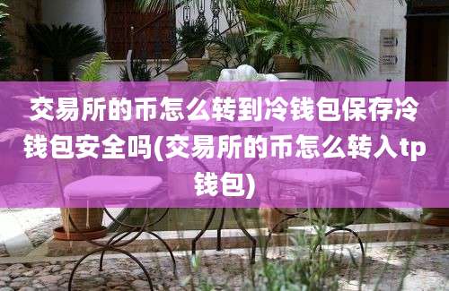 交易所的币怎么转到冷钱包保存冷钱包安全吗(交易所的币怎么转入tp钱包)