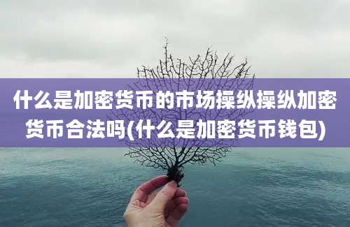 什么是加密货币的市场操纵操纵加密货币合法吗(什么是加密货币钱包)