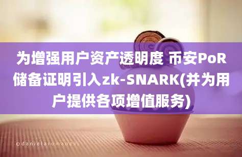 为增强用户资产透明度 币安PoR储备证明引入zk-SNARK(并为用户提供各项增值服务)