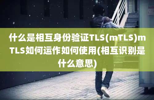 什么是相互身份验证TLS(mTLS)mTLS如何运作如何使用(相互识别是什么意思)