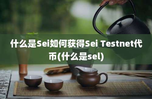 什么是Sei如何获得Sei Testnet代币(什么是sel)