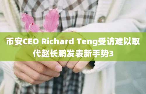 币安CEO Richard Teng受访难以取代赵长鹏发表新手势3