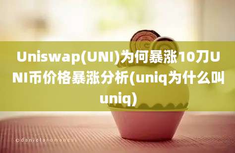 Uniswap(UNI)为何暴涨10刀UNI币价格暴涨分析(uniq为什么叫uniq)