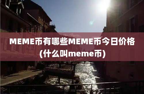 MEME币有哪些MEME币今日价格(什么叫meme币)