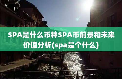 SPA是什么币种SPA币前景和未来价值分析(spa是个什么)