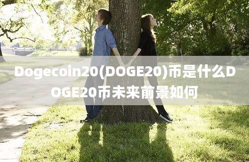 Dogecoin20(DOGE20)币是什么DOGE20币未来前景如何