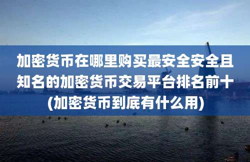 加密货币在哪里购买最安全安全且知名的加密货币交易平台排名前十(加密货币到底有什么用)