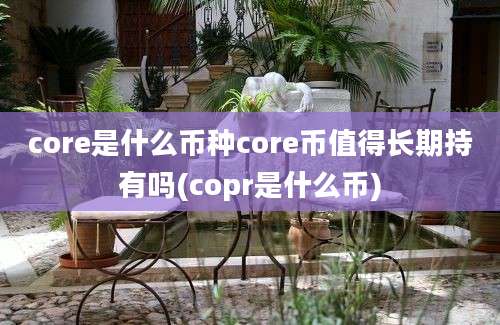 core是什么币种core币值得长期持有吗(copr是什么币)