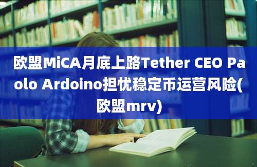 欧盟MiCA月底上路Tether CEO Paolo Ardoino担忧稳定币运营风险(欧盟mrv)