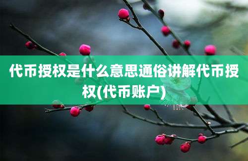 代币授权是什么意思通俗讲解代币授权(代币账户)