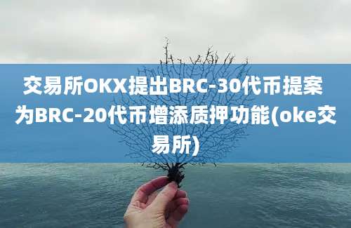 交易所OKX提出BRC-30代币提案 为BRC-20代币增添质押功能(oke交易所)