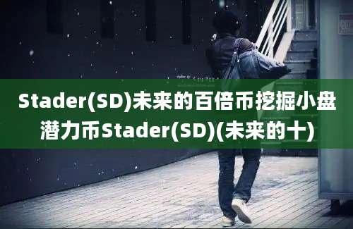 Stader(SD)未来的百倍币挖掘小盘潜力币Stader(SD)(未来的十)