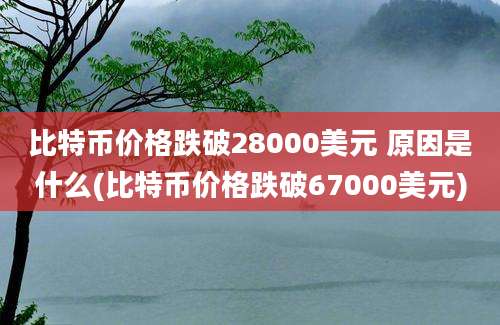 比特币价格跌破28000美元 原因是什么(比特币价格跌破67000美元)