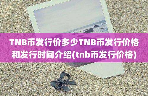 TNB币发行价多少TNB币发行价格和发行时间介绍(tnb币发行价格)