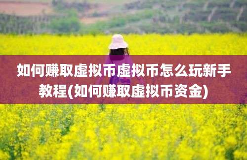 如何赚取虚拟币虚拟币怎么玩新手教程(如何赚取虚拟币资金)