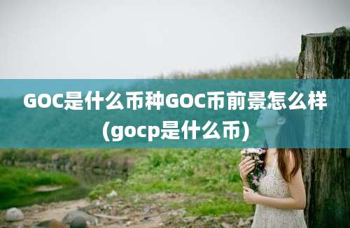 GOC是什么币种GOC币前景怎么样(gocp是什么币)