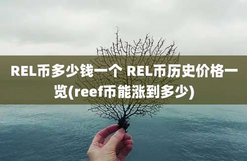 REL币多少钱一个 REL币历史价格一览(reef币能涨到多少)