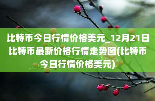 比特币今日行情价格美元_12月21日比特币最新价格行情走势图(比特币今日行情价格美元)