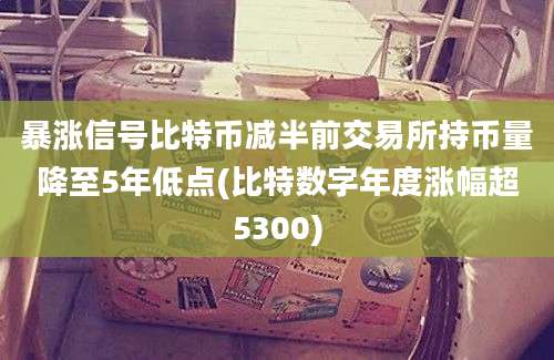 暴涨信号比特币减半前交易所持币量降至5年低点(比特数字年度涨幅超5300)