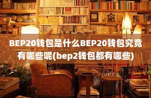 BEP20钱包是什么BEP20钱包究竟有哪些呢(bep2钱包都有哪些)